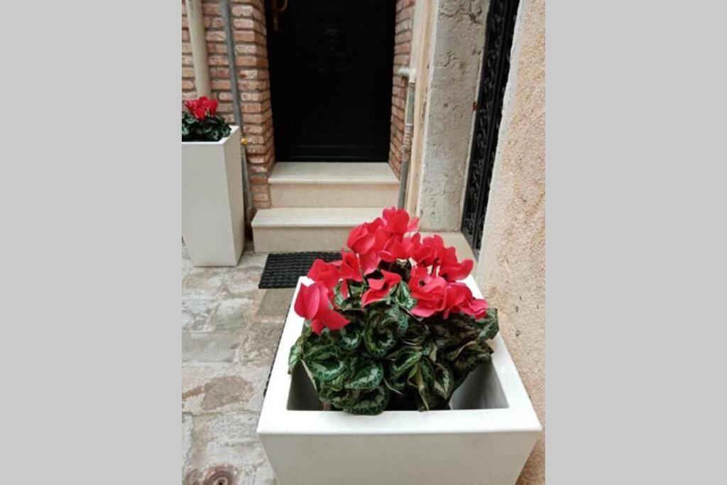 Ca Cici Venice Loft Apartment Veneza Exterior foto